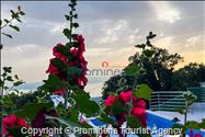 Ferienhaus Giran mit Pool und Meerblick in Bast  Makarska Riviera  Dalmatien;  Kroatien, Urlaub